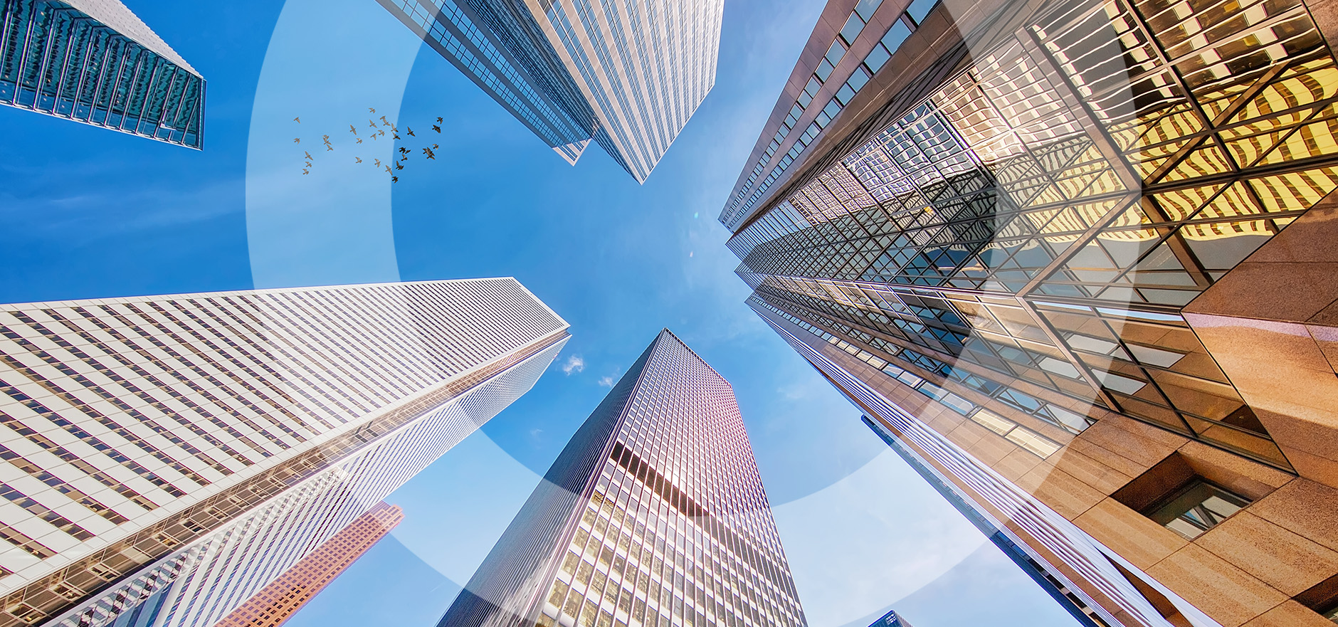 Deadlock: What recent court decisions mean for your business