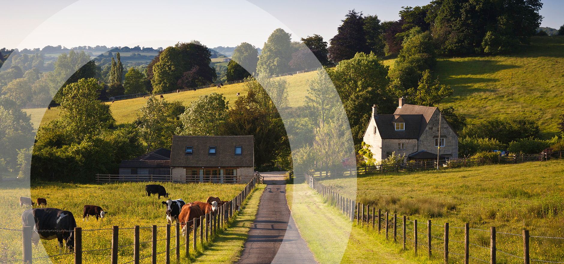 How can I protect my family business upon divorce?