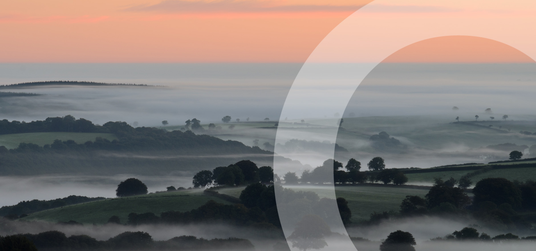 Financial clarity on divorce: What you need to know