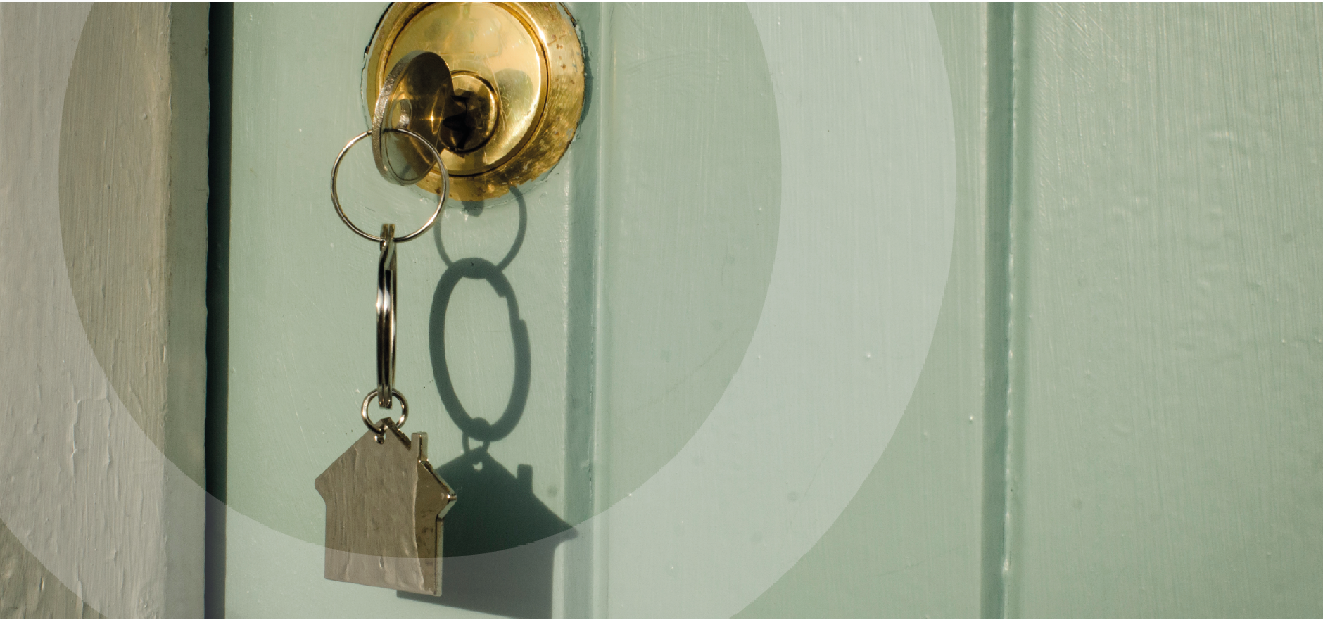 Home truths: What property searches reveal